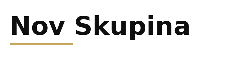 Nov Skupina logo